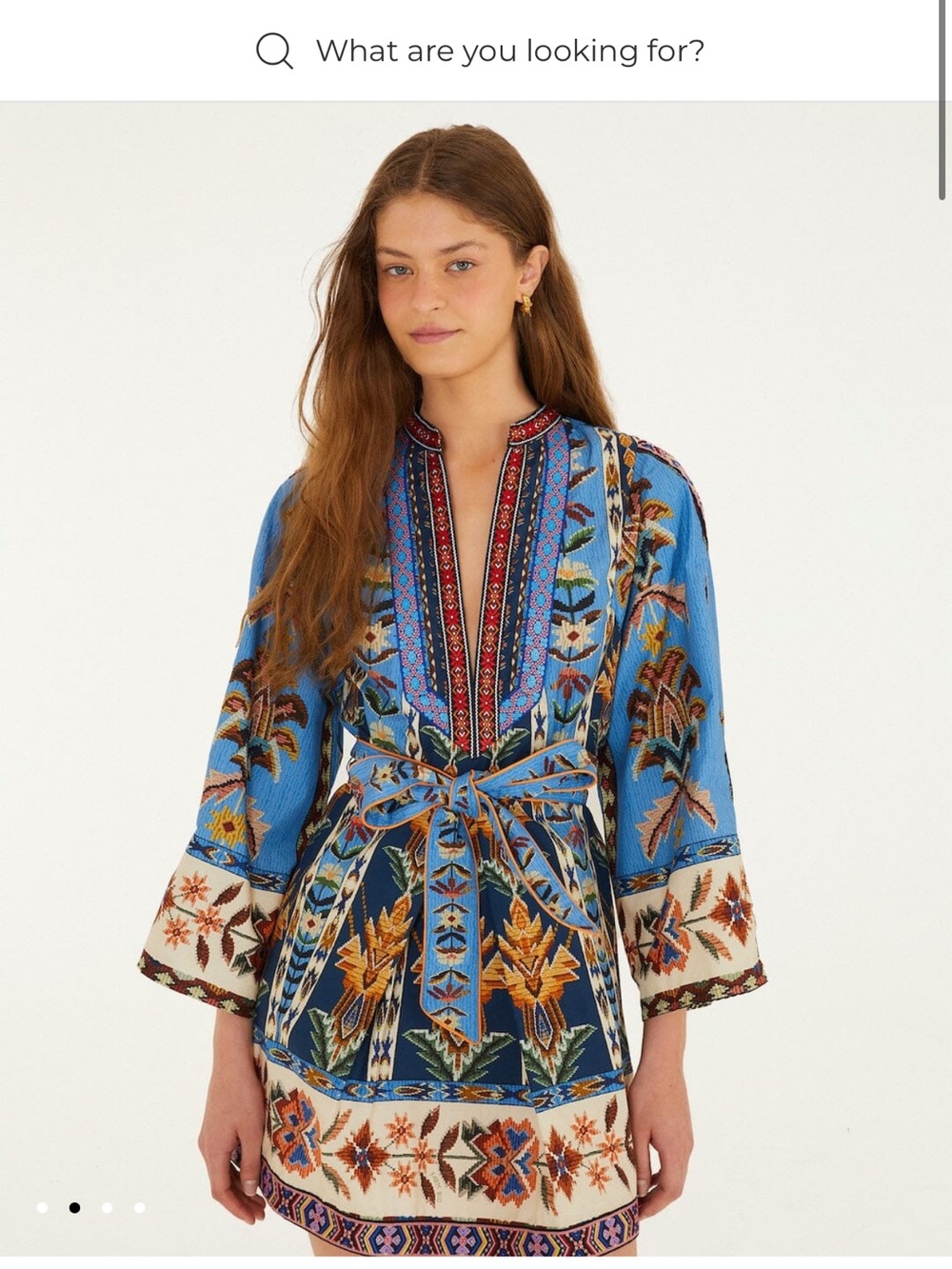 NWT Farm Rio Blue Embroidered Tapestry Dress